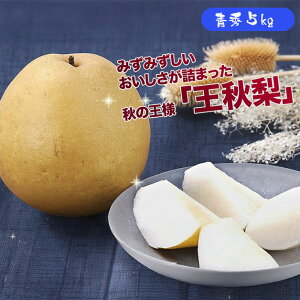 �y�o�ג�!!�z�P�[�X ������ ���H�� �������イ�Ȃ� �Ȃ� �i�V 5kg ��� �a�� �ԗ� �t���[�c �ʕ� ���� ����p �ƒ�p �܂Ƃߔ��� �󂠂� �������� �yBO�z[���H�i�P�[�X�j5kg]