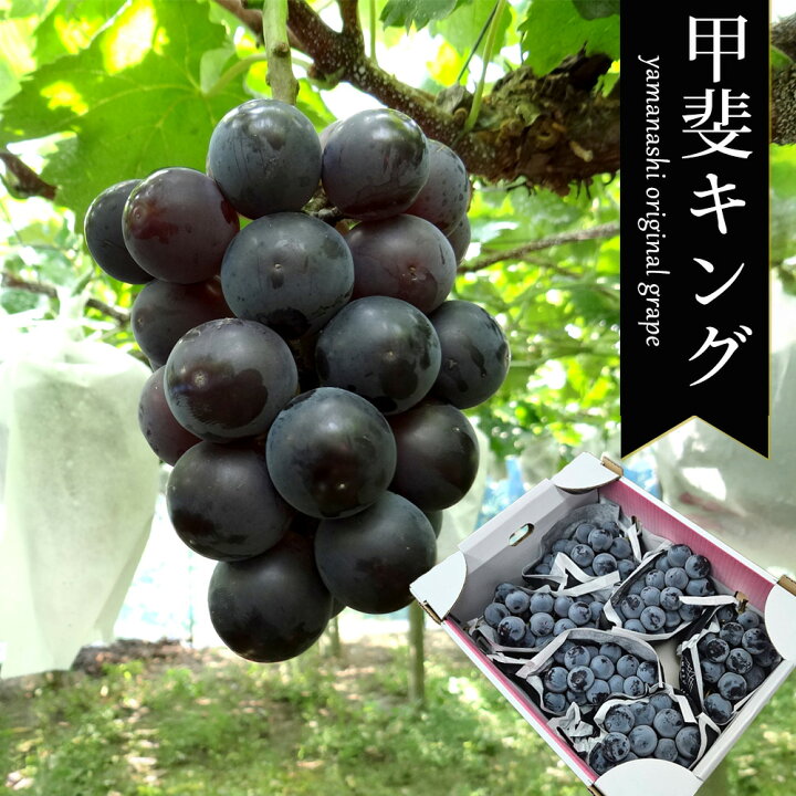 楽天市場】【出荷中!!】ケース 箱売り 山梨 甲斐キング ブラックキング 