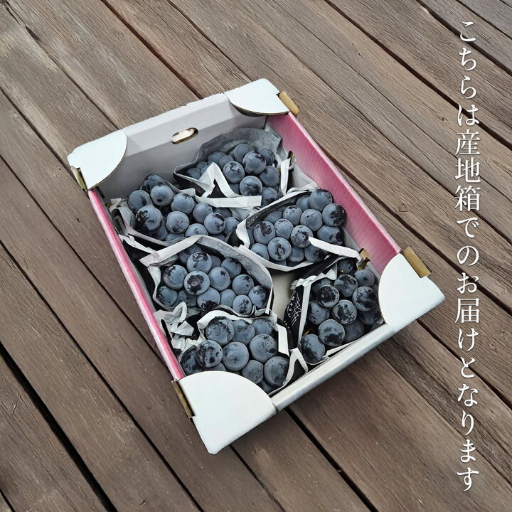 楽天市場】【出荷中!!】ケース 箱売り 山梨 甲斐キング ブラックキング 