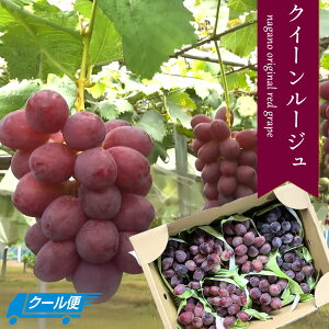 yoג!!zP[X   NC[[W ԂԂǂ VC}XJbg jR[̌z x Ȃ 햳 p  󂠂 { lߍ킹 yBOz [NC[[W