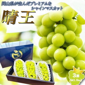 yoגzRY VC}XJbg  1~3[ 1[  500g N[֑Ή }XJbg  Ԃǂ R ʕ ʎ t[c  Mtg p ƒp  햳 Mtg  j