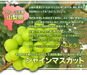 店長激オシ!!【送料無料】種無しで皮ごと食べられるぶどう山梨県産「シャインマスカット(ハウス栽培)」高級化粧箱入り【RCP】【お中元/ギフト/お盆】