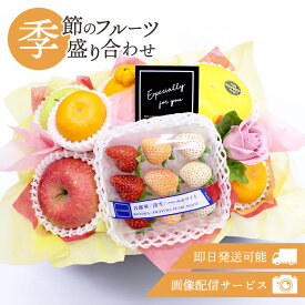 フルーツギフト フルーツ 果物 盛り合わせ 詰め合わせ 画像配信 即日発送 花 フラワー ソープフラワー セット ギフト 冬の味覚 贈答 プレゼント 贈り物 お祝い 御祝 寒中見舞い 記念日 誕生日 お見舞い お供え 法事 法要 熨斗[季節のフルーツ盛り合わせ]