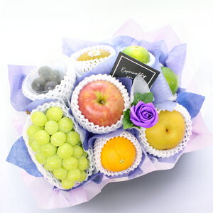 t[cMtg t[c ʕ 荇킹 lߍ킹 摜zM   t[ \[vt[ Zbg Mtg H H̖o  v[g   䋟 @ @v  49 l