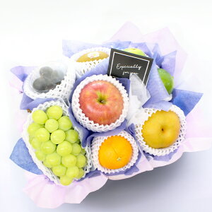 t[cMtg t[c ʕ 荇킹 lߍ킹 摜zM   t[ \[vt[ Zbg Mtg H H̖o  v[g   䋟 @ @v  49 l