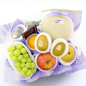 t[cMtg t[c ʕ 荇킹 lߍ킹 摜zM   t[ \[vt[ Zbg Mtg H H̖o  v[g   䋟 @ @v  49 l