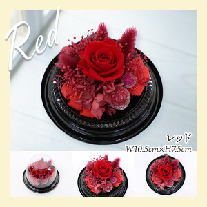 Ε t[cMtg t[c ʕ 荇킹 lߍ킹 摜zM   t[ vU[uht[ Zbg Mtg 蕨  v[g j  ފ @  