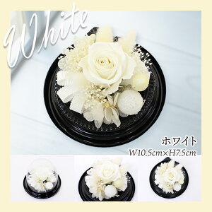 Ε t[cMtg t[c ʕ 荇킹 lߍ킹 摜zM   t[ vU[uht[ Zbg Mtg 蕨  v[g j  ފ @  