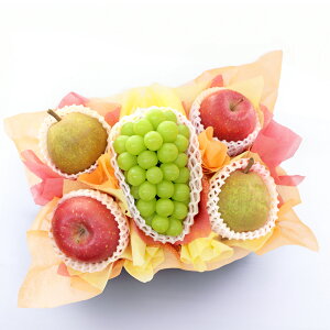 Ε Ε VC}XJbg  mȂ  t[cMtg t[c ʕ 荇킹 lߍ킹  Iׂe S Ȃ Ԃǂ Zbg Mtg 蕨  v[