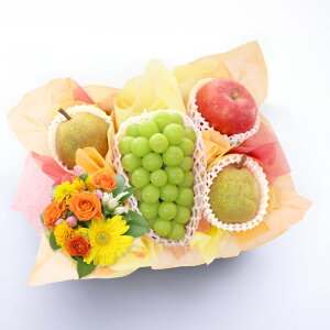 Ε Ε VC}XJbg  mȂ  t[cMtg t[c ʕ 荇킹   t[ ԃAWg S Ȃ Ԃǂ Zbg Mtg 蕨  v