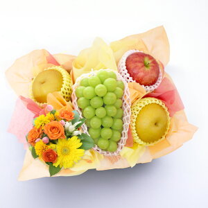 VC}XJbg   t[cMtg t[c ʕ 荇킹   t[ ԃAWg S Ȃ Ԃǂ Zbg Mtg 蕨  v[g j 