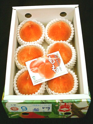 【送料無料・2013母の日ギフト】初夏を先取り!山梨県産ハウスピーチ(温室もも)5〜6玉(約1kg)