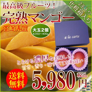 父の日ギフト送料無料宮崎県産完熟マンゴー(大玉2個各350〜400g)フルーツギフト