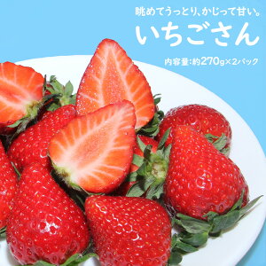 y\z  C`S   270g × 2 540g  ʕ ʎ t[c Mtg  Ε j  j ~Mtg ϔ EB^[Mtg  yBOz[ 270g×2: