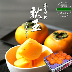 yoגzP[X  H ` Y 3.5kg Di Ê` `  uh` xL`  H` ̂ƂǂI ʎ ʕ t[c ܂Ƃߔ p ƒp yBOz [HiP[Xj