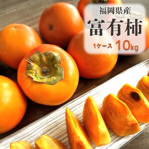 ケース 箱売り 福岡県産 富有柿 10kg 柿 かき カキ ご自宅用 ご家庭用 フルーツ 果物 果実 ふゆうがき ふゆがき くだもの 訳あり 御祝 お祝い 御供 お供え 大容量 まとめ買い 【BO】 [福岡県 富