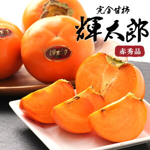 yoגz PY` 3kg ԏGi `  Ê` t[c ʕ SÊ` ʎ ʕ t[c j 䋟 j  j H̖o   v[g Mtg ܂Ƃߔ p ƒp