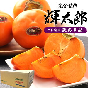 yoגz PY` Ղ 6kg 󂠂 16`20 `  Ê` t[c ʕ SÊ` ʎ ʕ t[c H̖o ܂Ƃߔ p ƒp yBOz[󂠂 PY` 6kgiP[Xj]