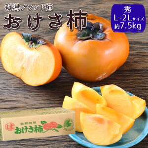 yoגzP[X  ` VY 7.5kg a` `  Vuh` j 햳 ʎ ʕ t[c ܂Ƃߔ p ƒp yBOz [`iP[XjG 7.5kg]