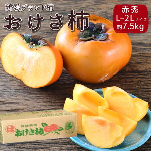 yoגzP[X  ` VY 7.5kg a` `  Vuh` j 햳 ʎ ʕ t[c ܂Ƃߔ p ƒp yBOz [`iP[XjԏG 7.5kg]