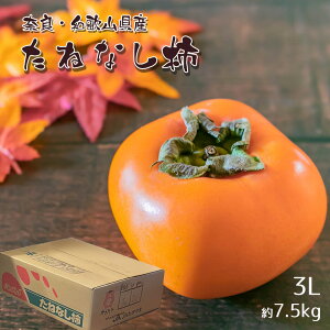 yoג!!zP[X  ˂Ȃ` j` 햳` 7.5kg ޗ a̎R 햳 ʎ ʕ t[c ܂Ƃߔ ƒp p yBOz [˂Ȃ`iP[Xj7.5kg]