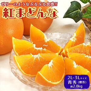 g܂ǂ Ε Ε t[c Mtg  g }hi  ݂ 2.8kg 10`15 k t[c ʕ ʎ  Mtg  蕨 v[g j j 䋟  