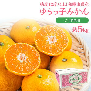 ゆらっ子みかん ゆらっこみかん ケース 箱売り 和歌山県産 由良 JA紀州 5kg S もしくは M みかん ミカン 蜜柑 糖度12度以上 高糖度 フルーツ 果物 果実 くだもの 大容量 まとめ買い ご自宅用 ご