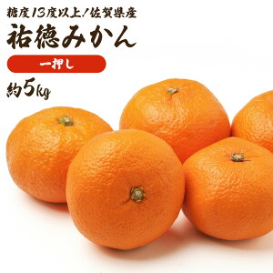 S݂ P[X  ꌧY JA 5kg S  M ݂ ~J  x13xȏ t[c ʕ ʎ  Ε Mtg  蕨 v[g j j 䋟  