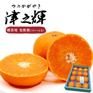 Ε Ε ÔVP ̋P ̂₫ ݂ IW ƂǂIk t[c ʕ ʎ  Mtg  蕨 v[g j j 䋟  ϔ yBOz[ÔV