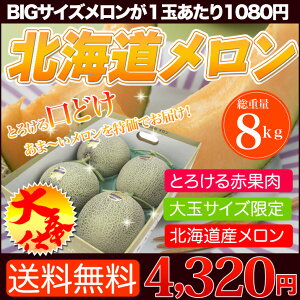 店長激オシ送料無料!帰省のお土産に!お盆のお供えにも最適。北海道『富良野産赤肉メロン』5玉