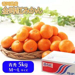 �y�N�������z�P�[�X ������ ���쌧�Y �����g�݂��� ��5kg �G �~�J������ ���x11.5�x �ʕ� �t���[�c �M�t�g ���� ���Ε� ��Ε� ������ ���j�� �䌩�� �������� ���Ԃ� ���j ��� �yBO�z[�����g