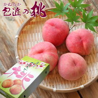 包近の桃 かねちかの桃 希少 ブランド桃もも 桃 モモ お中元 御中元 はなよめ 日川白鳳 白鳳 まさひめ 清…