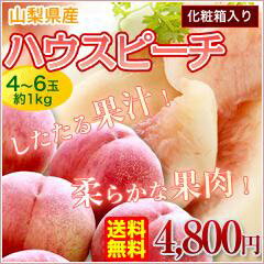 【送料無料・2013母の日ギフト】初夏を先取り!山梨県産ハウスピーチ(温室もも)5〜6玉(約1kg)