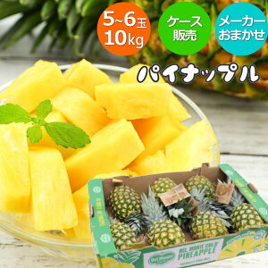 pCibv tBsY P[X 10kg 5`6 pC pCAbv t[c ʕ ʎ tbV  H   tďH~ [tBsY pCibv 10kg]yBOz