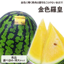 黄色 スイカの通販