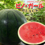 【出荷中!】山形県産 他 小玉すいか ピノ・ガール ブラック BLACK 1玉 2玉入り 2L~3Lサイズ 約2.5kg程度 …