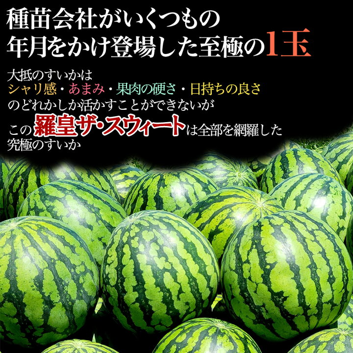 楽天市場】【出荷中】熊本県産 他 すいか 羅皇ザ・スウィート 1玉 約5 