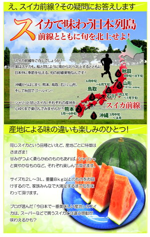 店長激オシ!日本の「すいか前線」を味わおう!「日本列島すいか駅伝」