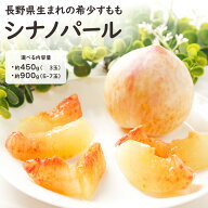 【予約】シナノパール すもも プラム ぷらむ 秀品以上 選べる内容量 450g 3玉入 900g 5-7玉入 フルーツ …