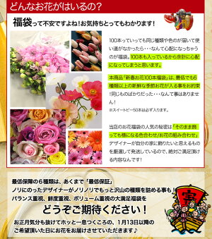 新年お年玉福袋