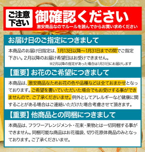 新年お年玉福袋