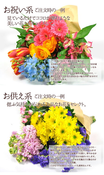 楽天市場 お供え お祝い 切り花 福袋 30本 送料無料 午前中の注文で あす楽 Ok お供え お祝い 用途が選べる あす楽 13時 用途選べる切り花福袋30本 ｈａｎａファクトリー