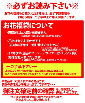 帰ってきたお花の福袋【原体30本入り】