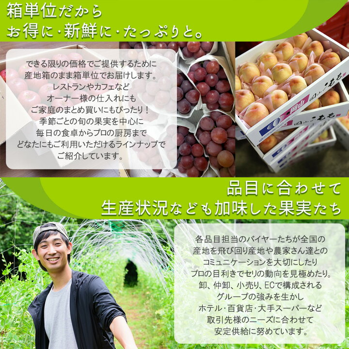 楽天市場】【出荷中!!】ケース 箱売り 山梨 甲斐キング ブラックキング 