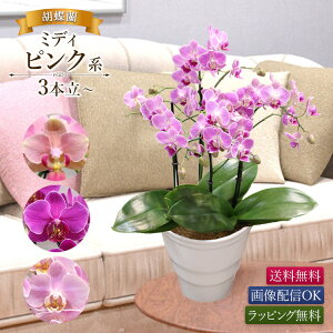 y11܂ł̂œoׁzӒ ~fBsNn 3{ȏ 摜zM sN 킢 JX N AC J@ J I[v  W Vz a   ̓ hV̓ bs