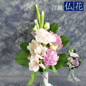   ފ  @v l\   V {   y m  䕧d   5^Cv LXg m5^Cv yJFz [m5i35cmj]