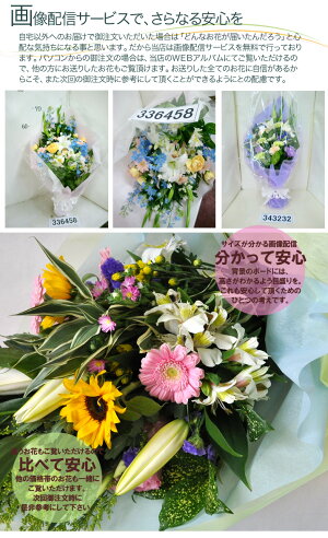 お供え花束L3800【送料無料】【店長激オシ送料無料】【あす楽対応_関東】【あす楽対応_甲信越】【あす楽対応_北陸】【あす楽対応_東海】【あす楽対応_近畿】【あす楽対応_中国】【あす楽対応_四国】