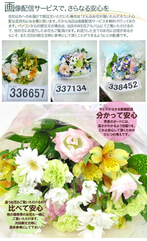 【送料無料】お供え花束M2800/〜お盆やお彼岸のお花、墓花、仏花、仏事にも〜/【あす楽_土曜営業】