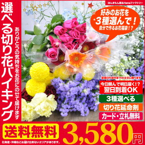 期間限定ゲリラセール◆切り花バイキング/組み合わせ自由!3セット購入でさらに値下バラアルストロメリアチューリップカスミ草フリージアデンファレキンセンカナタネスイートピーガーベラユリを自由にバイキング!【楽天スーパーSALE】