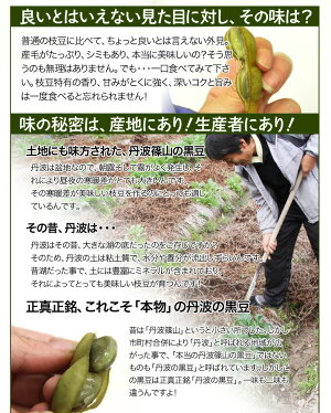 【送料無料】これはウマイ!丹波篠山の黒大豆枝豆(黒豆/丹波黒/枝豆/たんざく)1kg